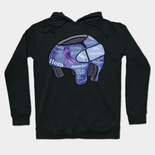 Craniosynostosis Heroes wear Helmets Hoodie